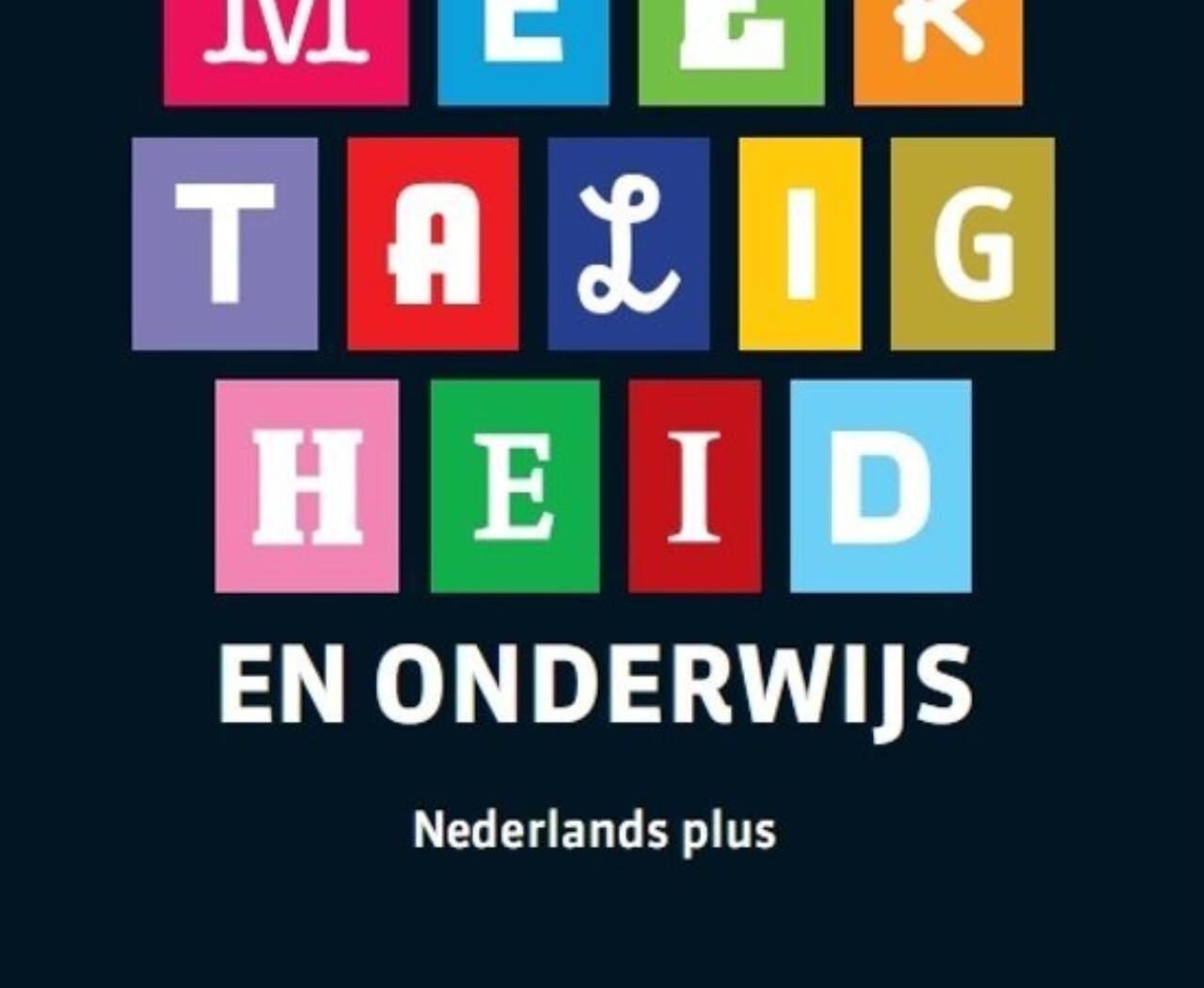 Meertaligheidenonderwijs