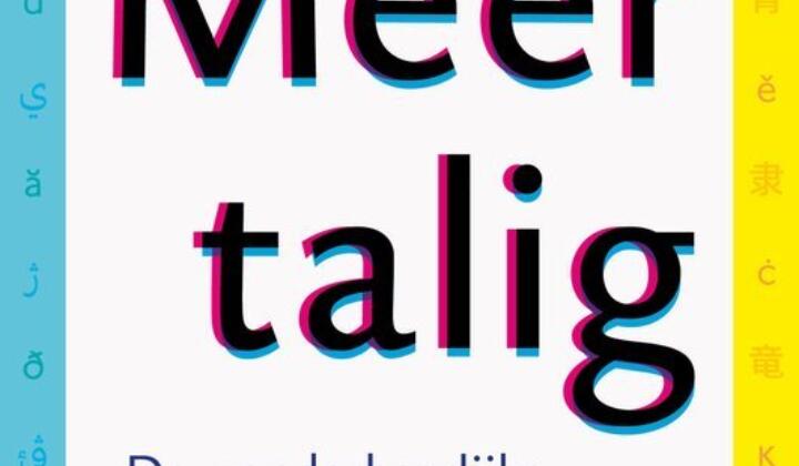 Meertalig voordelen