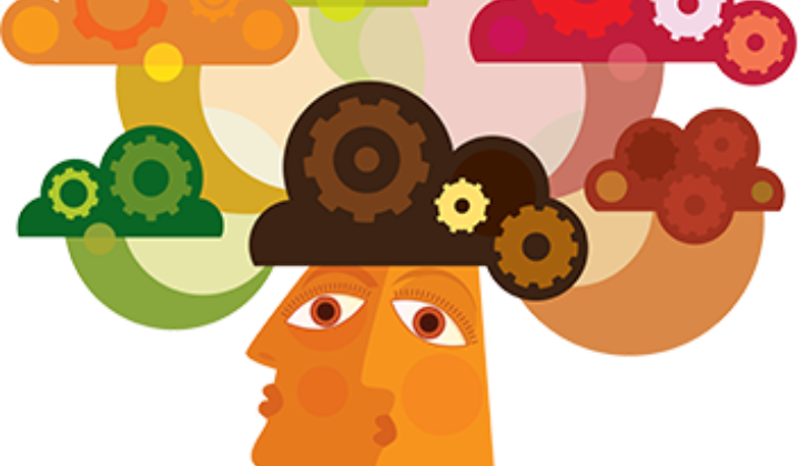 Diva diversiteit in actie